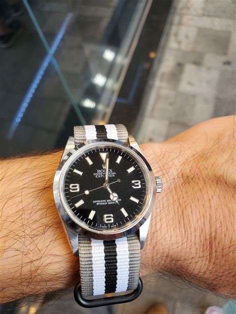 rolex explorer nato